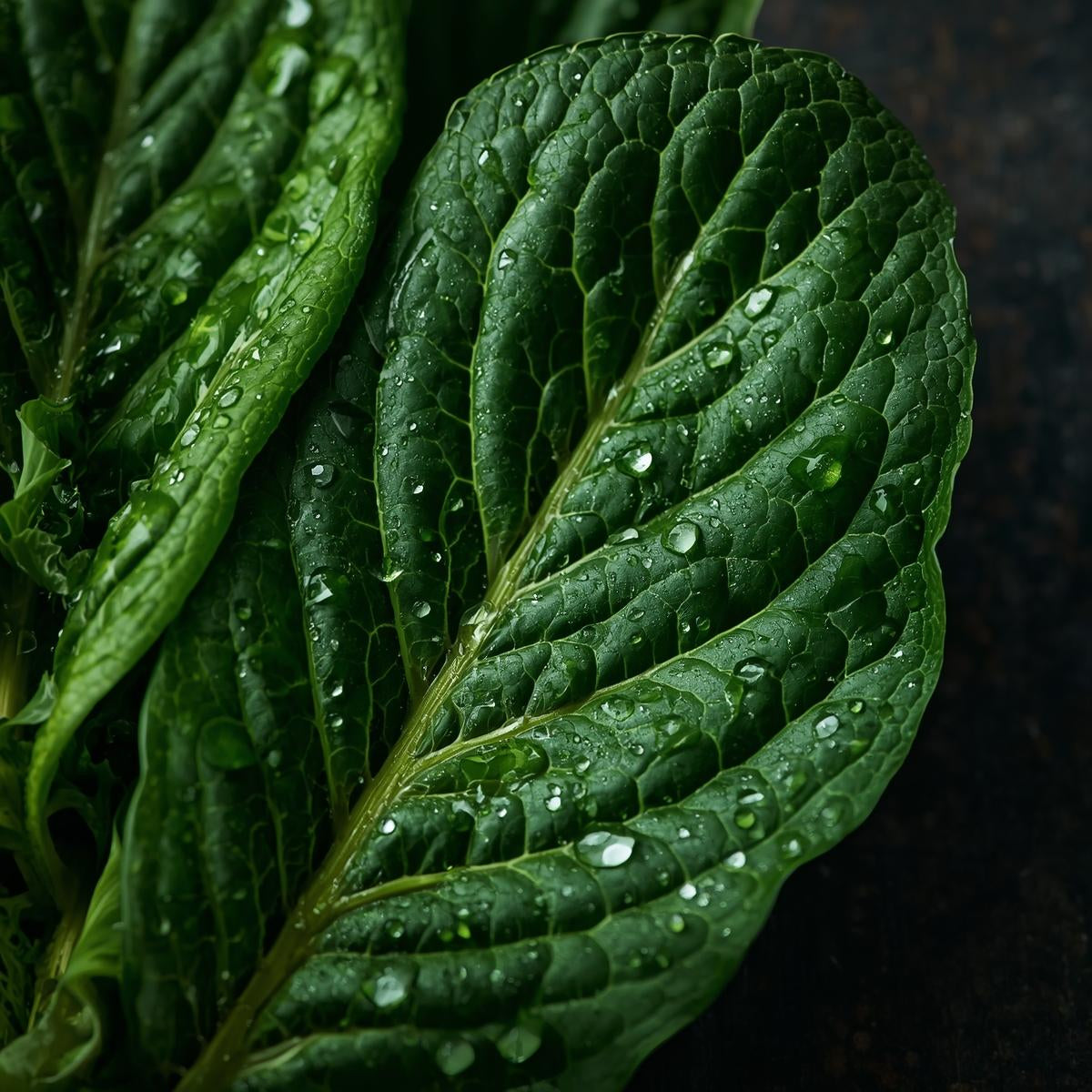 Winter Greens & the Legacy of Love: A Montgomery Story