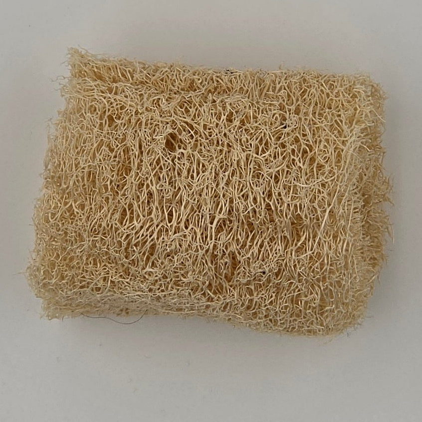 Alabama Grown Loofah Sponge